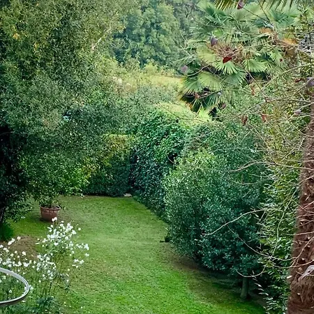 Relax 3* 博尔戈塞西亚