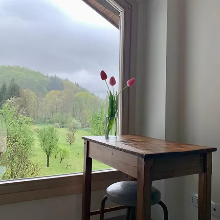 Relax Guest house 3*