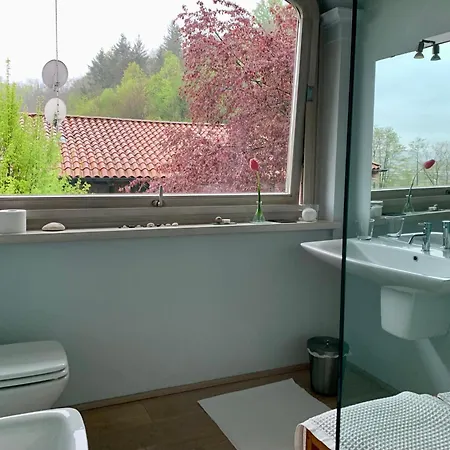 Relax 招待所 博尔戈塞西亚