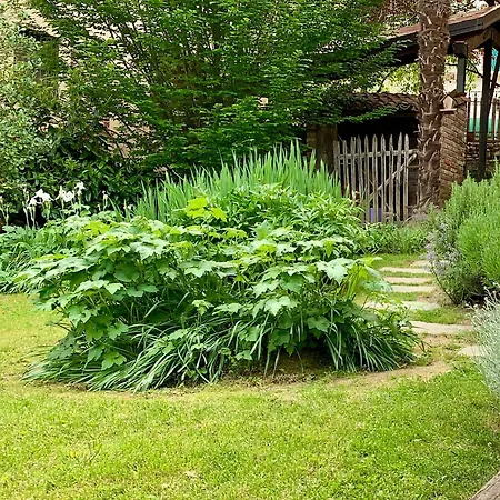 招待所 Relax 博尔戈塞西亚